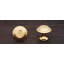CK Series 1 1/4" Diameter Mushroom Knob-71241841