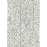 Curio Zebrawood Animal Print Wallpaper Roll