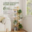 Plant Stand