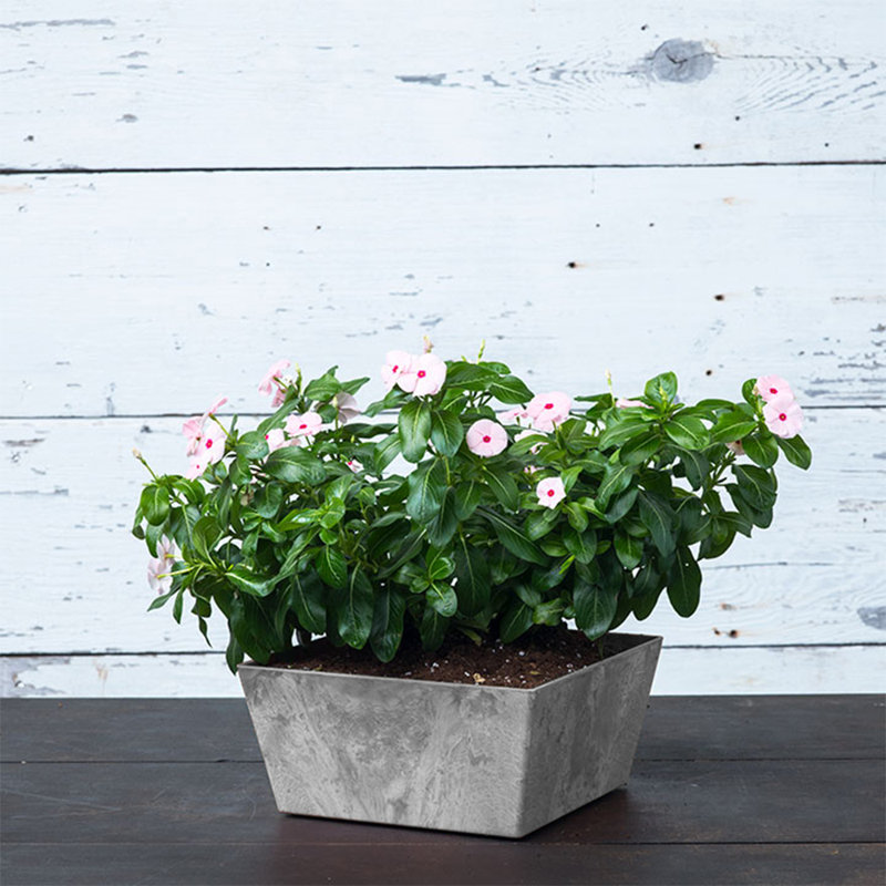 Pot à fleurs à arrosage automatique Wendover, H 4,5 po x l 9,5 po x P 9,75 po, Gris