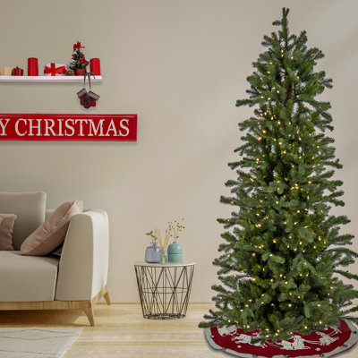 Lighted Christmas Tree