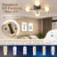 Ceiling Fan with LED Lights