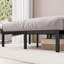 Barbieri Modern Metal Platform Bed Frame with Heavy Duty Steel Slat Support-1994905275