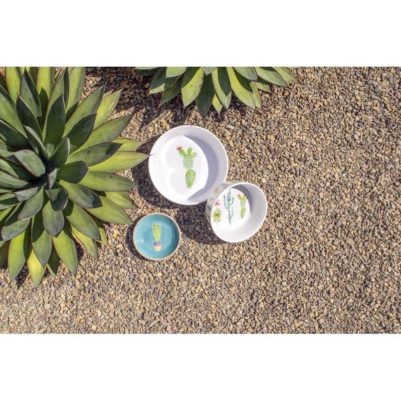 Mari Anti-Skid Pet Bowl