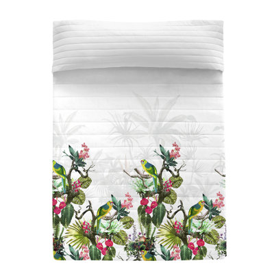 Cockrell Hill Cotton No Pattern Bedspread