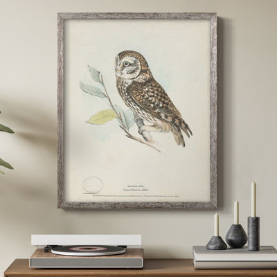 Little Owl Framed Print - Solid Wood