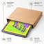 Rainbow Llama Trio Modern - Print-136632410-136632415