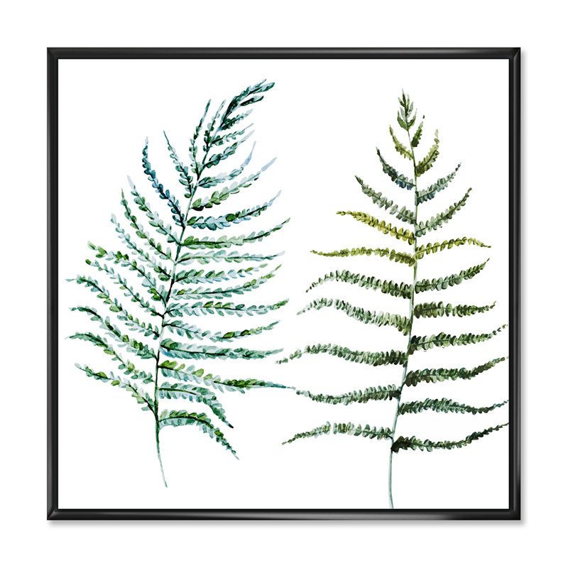 Deux feuilles de fougère - reproduction sur toile avec cadre flottant, Cadre noir, H 16 po x l 16 po x P 1 po