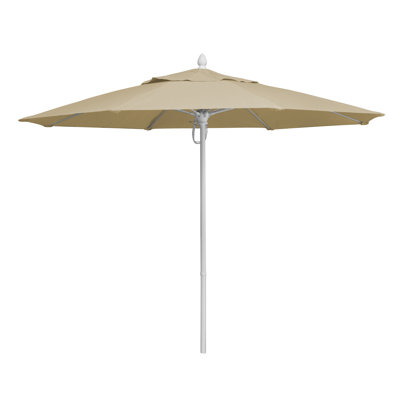 Market Umbrella