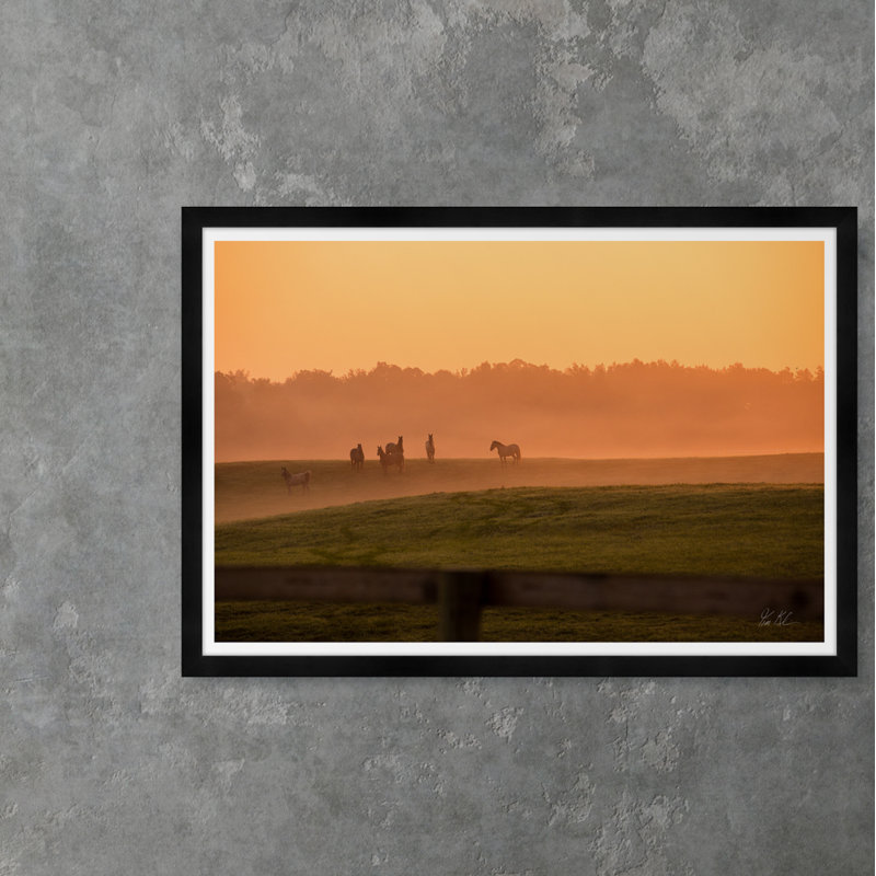 Meadow Sunrise " Meadow Sunrise Ii " by Tim Klein