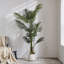 182.9cm Faux Palm Tree in Vase