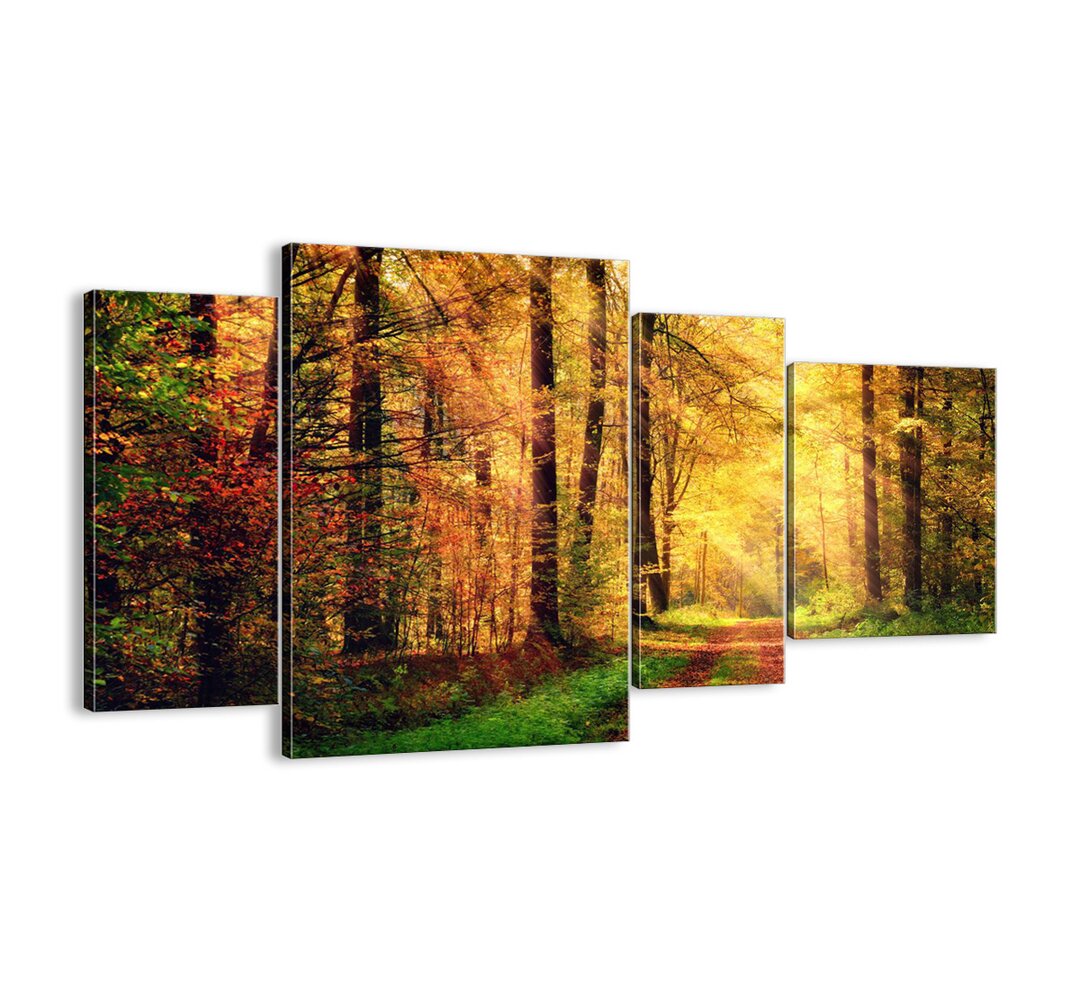 4-tlg. Leinwandbilder-Set - Fotografie „Forest-Golden Silence”