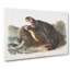 Sea Otter by J.W. Audubon - Wrapped Canvas-55324291