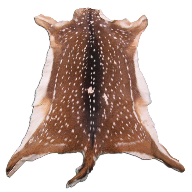 Pauleta Distressed Real Axis Deer Skin - 2nd Grade