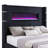 Black Upholstered Cal King Flame Visualizer Bed