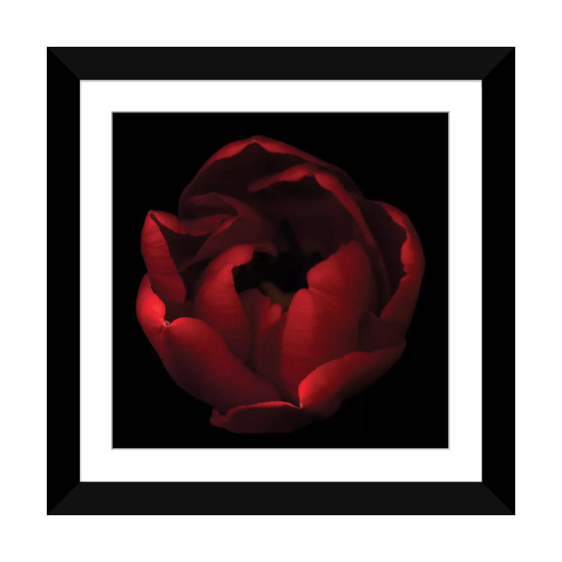 par Magda Indigo - impression d'art graphique, Papier beaux-arts encadré noir, Blanc, H 24 po x l 24 po x P 1 po