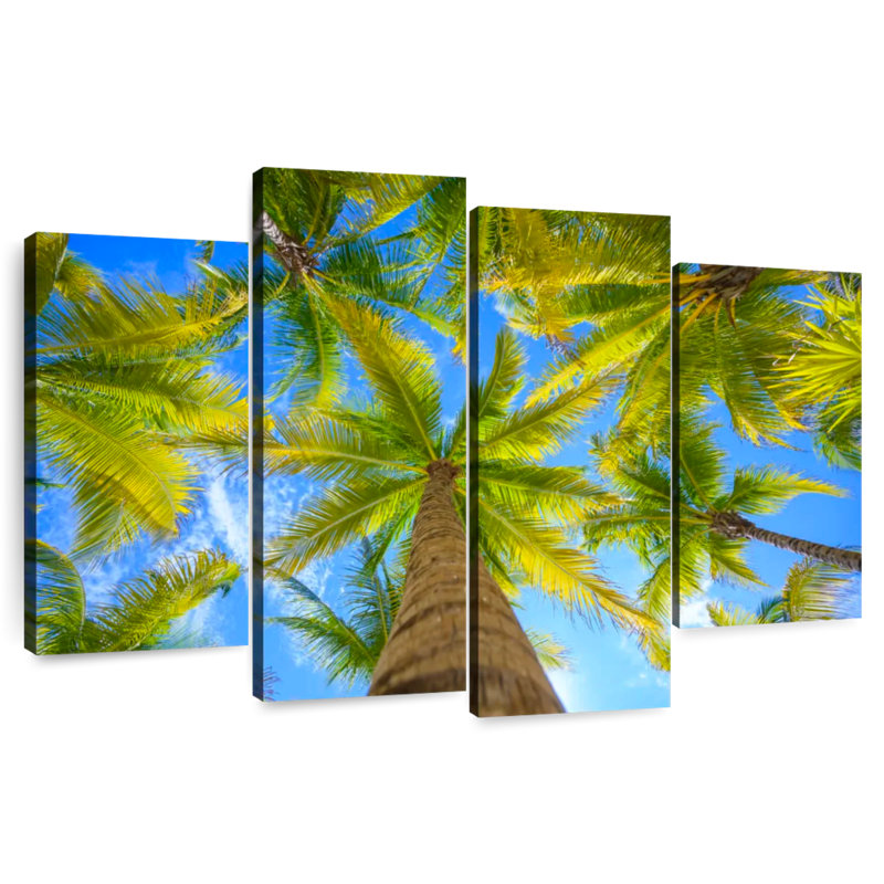 Harnek Coconut Trees In Mexico, 42" H x 68" W