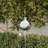 Light Bright Gardening 45'' Metal Garden Torch