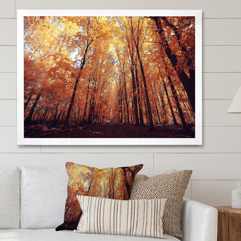 Mystic Yellow Fall Forest III - Art mural sur toile traditionnel, L 12 po x H 8 po, Cadre photo argenté