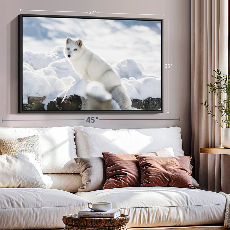 Arctic Fox Canvas Print, 17" H x 25" W