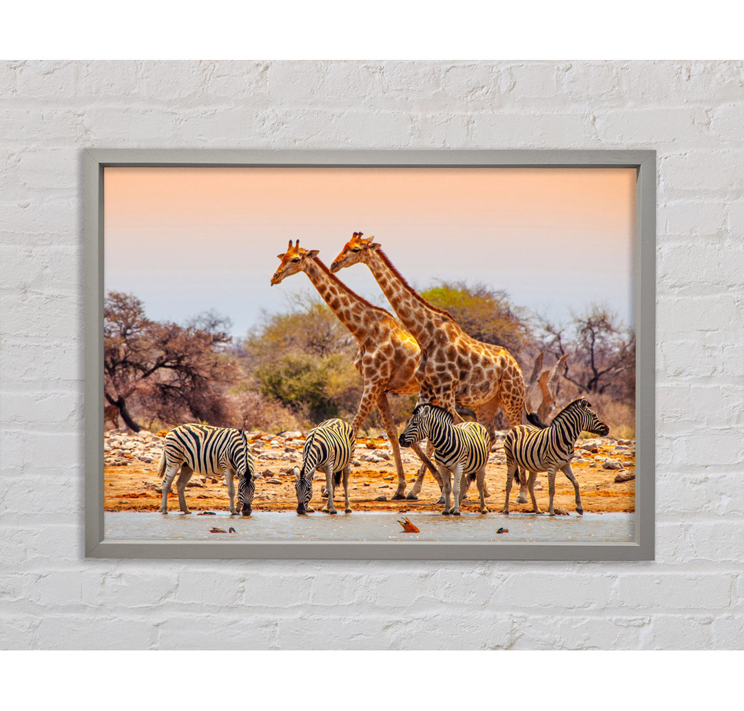 Safari Watering Hole - Einzelner Bilderrahmen Kunstdrucke auf Leinwand