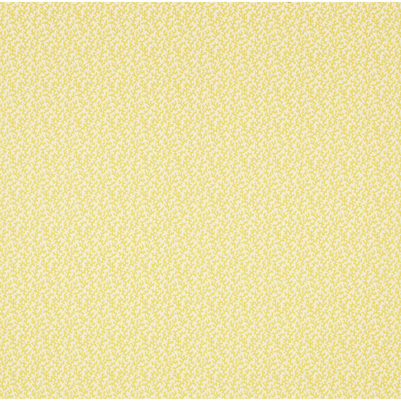Tissu Schumacher x Veere Grenney, Paille