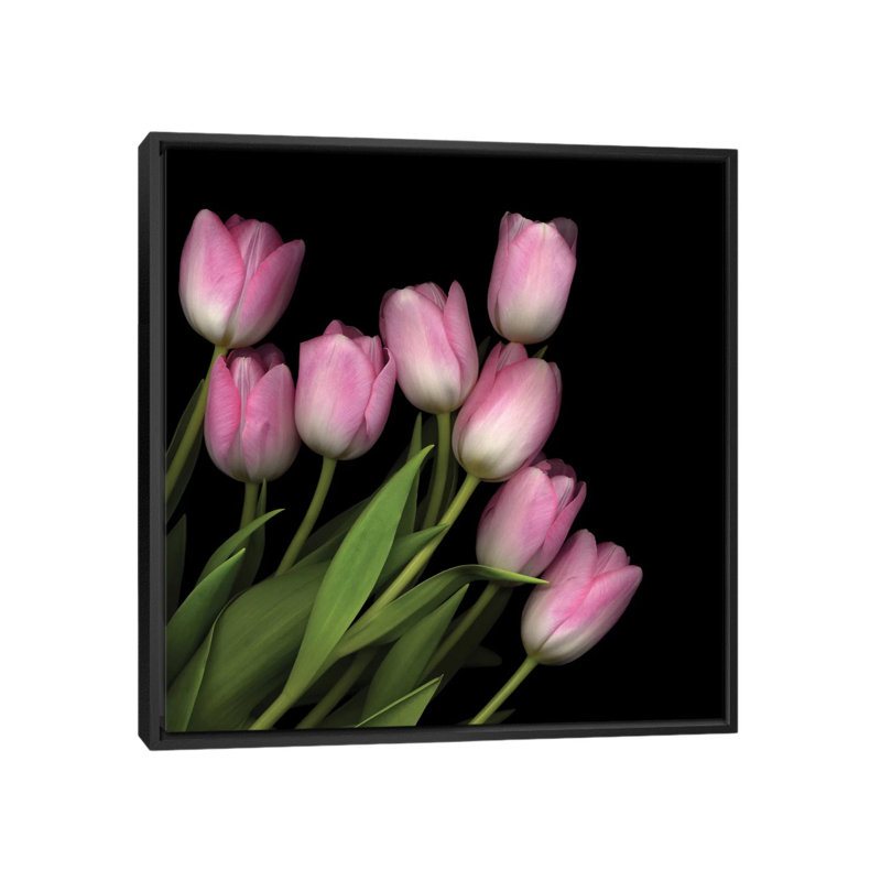 Rose pastel doux, reproduction de photo sur toile tendue, H 37 po x l 37 po x P 1,5 po, Toile avec cadre noir, Pas de tapis