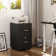 Kayeson 15.7'' Wide 2 -Drawer Mobile File Cabinet