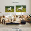 Bramire Shire cheval dans la prairie
