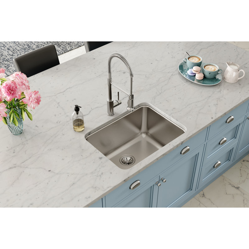 Évier de cuisine encastrable L 25,5 po x l 19 po Lustertone