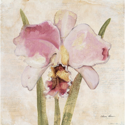 Orchid VI by Cheri Blum