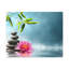 No Frame Print on Canvas-1561698770