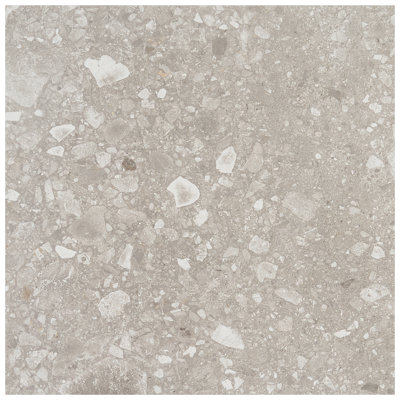 Carrelage de sol et de mur en porcelaine mate 23,54 po x 23,54 po Stonehenge (11,62 pieds carrés / caisse)