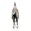 Shanieka Iron (100%) Animals Garden Art
