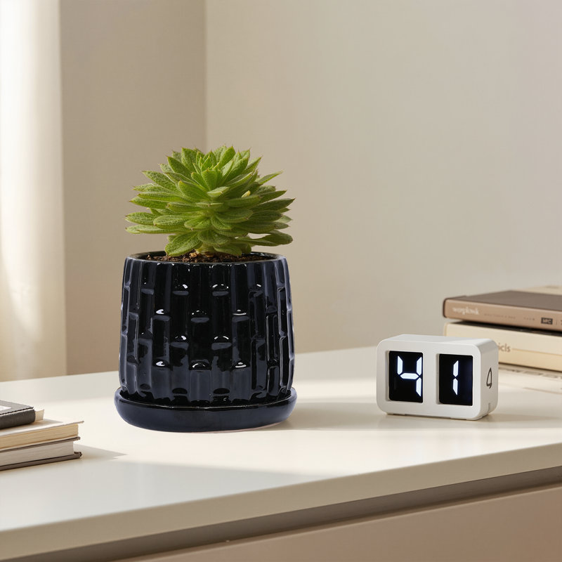 Ensemble de 2 pots de fleurs décoratifs pour l'intérieur et l'extérieur 8 po