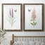 «Wildflower Botanical I», ensemble de 2 reproductions d'art-923653541-923653542-808463890