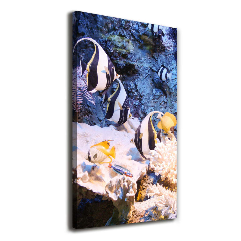 Colourful Spices - Wrapped Canvas Art Prints