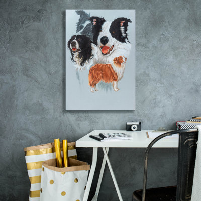 " Boarder Collie " by Barbara Keith