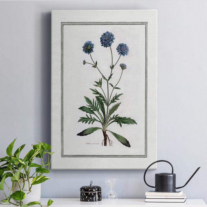 Soft Botanical II Soft Botanical II par - Peinture sur