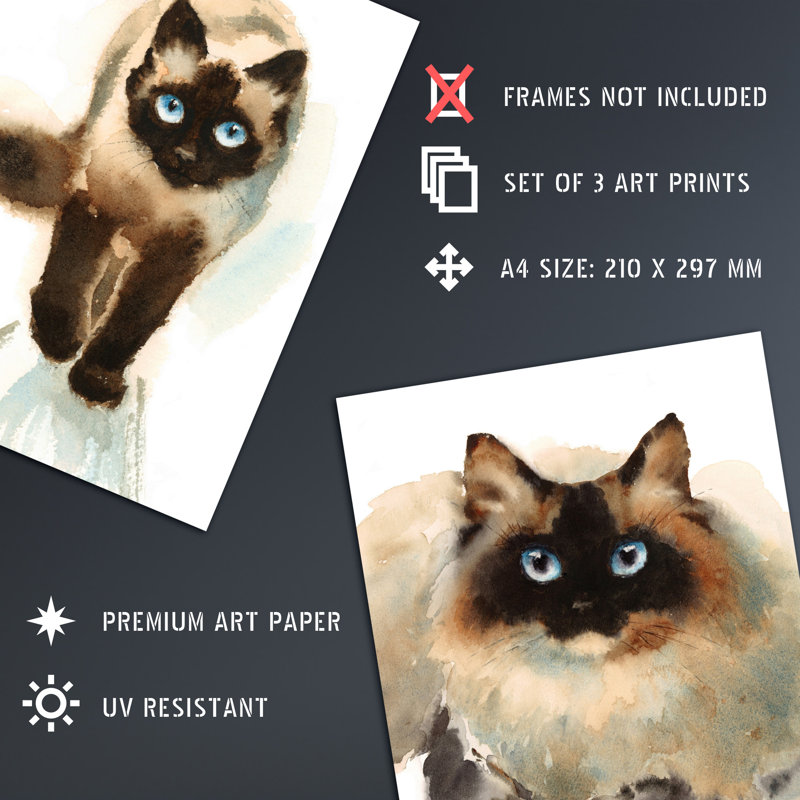 Blue Eyed Ragdoll Cats Watercolour 3-Piece Set Unframed Wall Art Prints Living Room Aesthetic Paintings