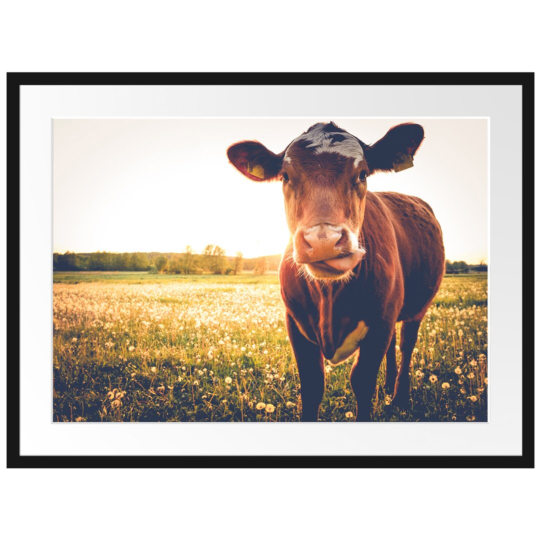 Gerahmtes Poster Kuh auf Butterblumenwiese