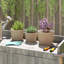 Pot Planter