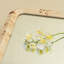 Miroir sur pied pleine longueur de 72 pouces avec cadre en bois massif