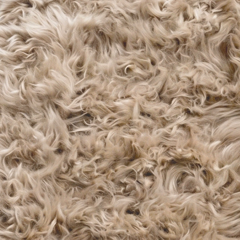 Sheepskin Standard Shag 60cm X 90cm Area Rug, Beige