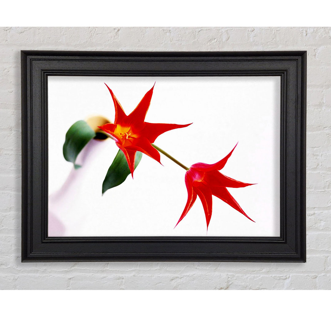 Gerahmtes Wandbild Twin Fire Tulip Centre