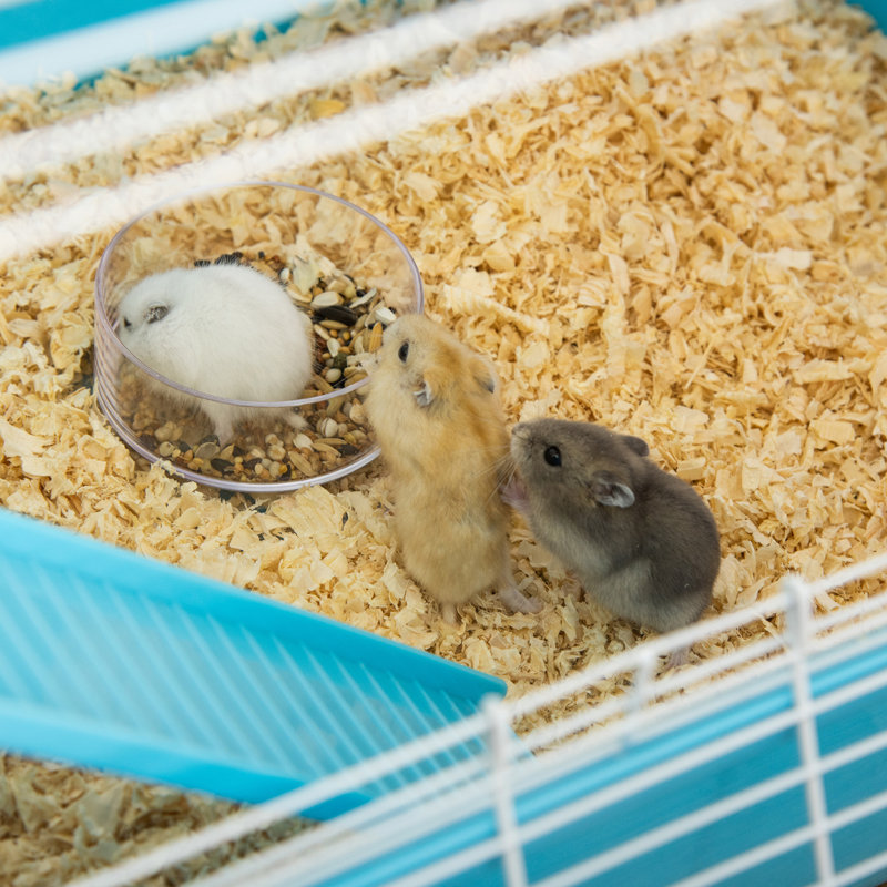 Très grande cage à hamster 23 "avec tubes et tunnels, Bleu clair