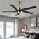 Krishona 54'' Ceiling Fan with LED Lights