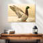 Canard colvert majestueux Brampt-107845165