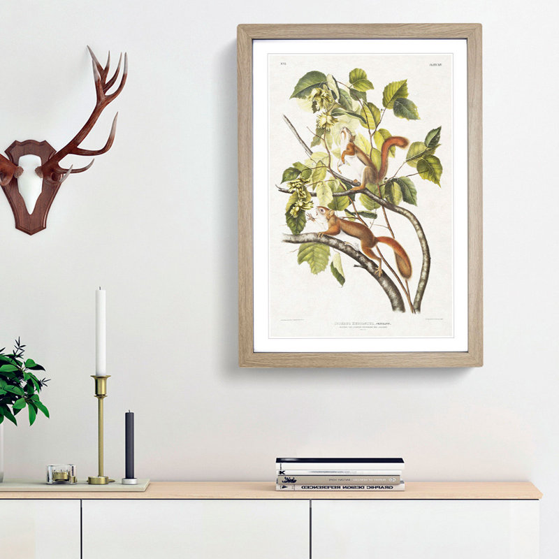 Red Squirrels by J.W. Audubon - Picture Frame Painting Print, Oak Framed, 48cm H x 36cm W x 2cm D