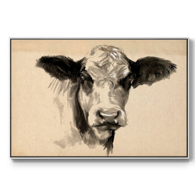 Vache gris anthracite II